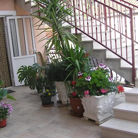 Guest Accomodation Zura Apartment Skradin