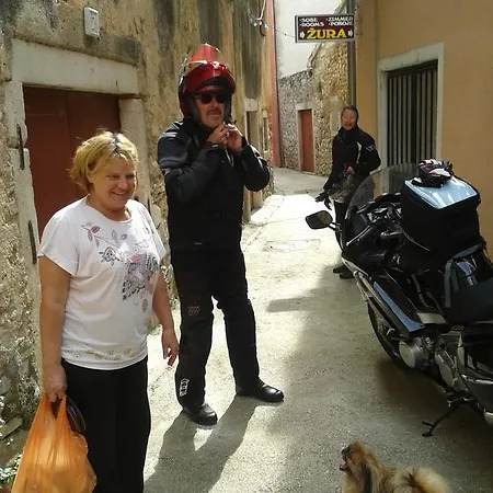 Апартаменты Guest Zura *