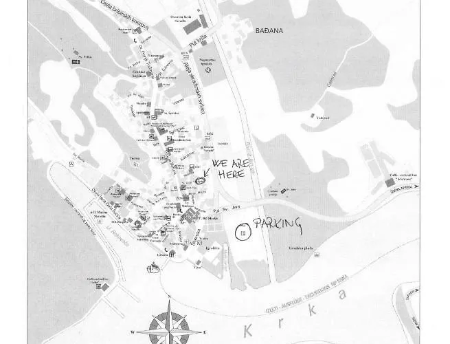 Guest Zura سكرادين